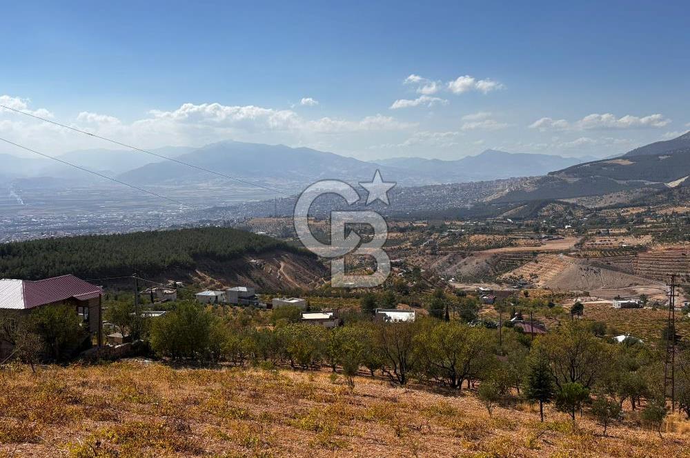 CB'DEN DERELİ'DE TEK TAPU (3.228m2) MERKEZE YAKIN SATILIK BAHÇE