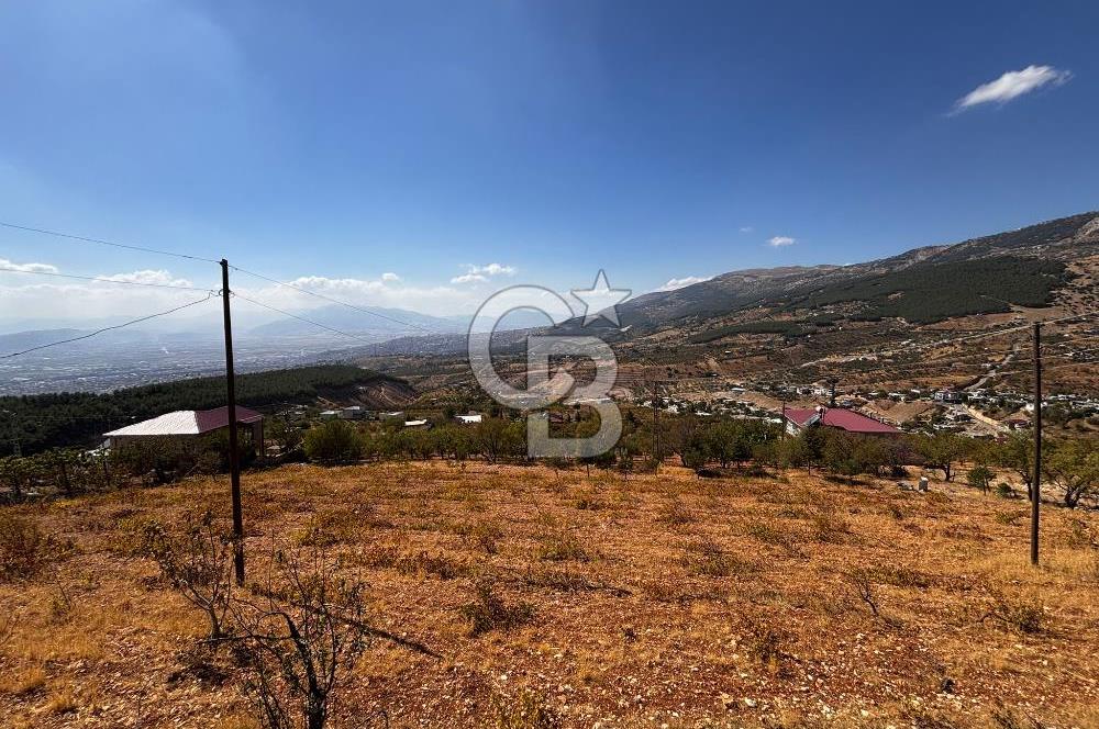CB'DEN DERELİ'DE TEK TAPU (3.228m2) MERKEZE YAKIN SATILIK BAHÇE