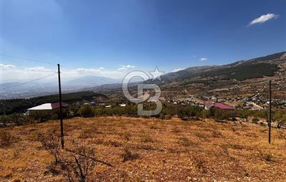 CB'DEN DERELİ'DE TEK TAPU (3.228m2) MERKEZE YAKIN SATILIK BAHÇE