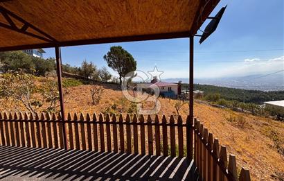 CB'DEN DERELİ'DE TEK TAPU (3.228m2) MERKEZE YAKIN SATILIK BAHÇE