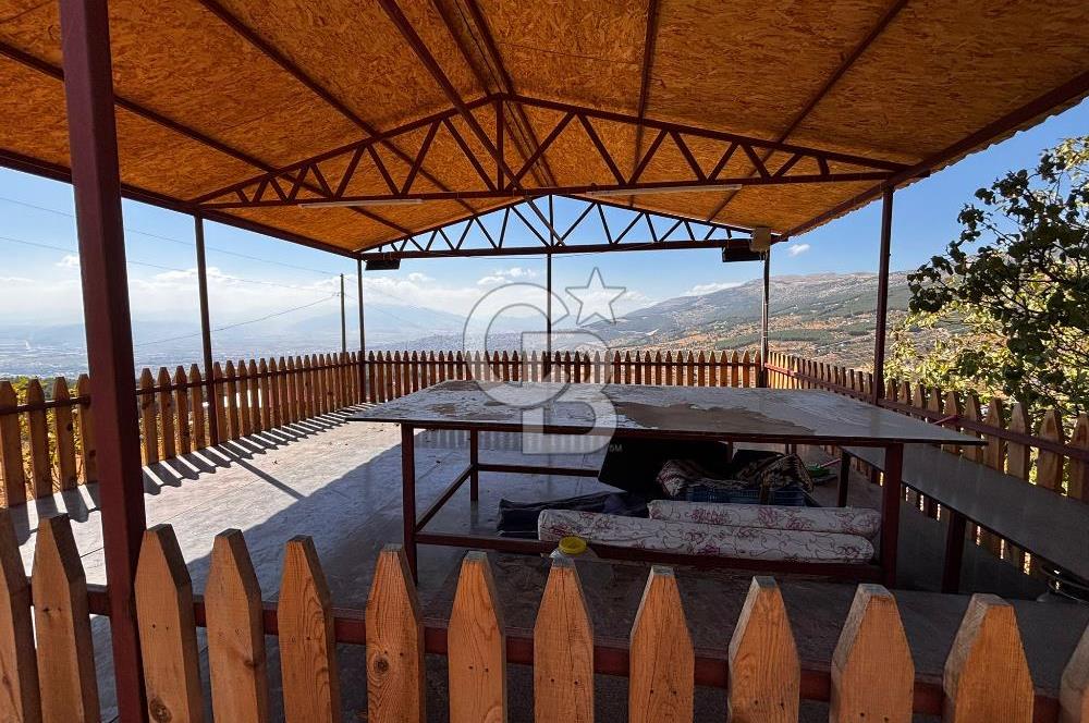 CB'DEN DERELİ'DE TEK TAPU (3.228m2) MERKEZE YAKIN SATILIK BAHÇE
