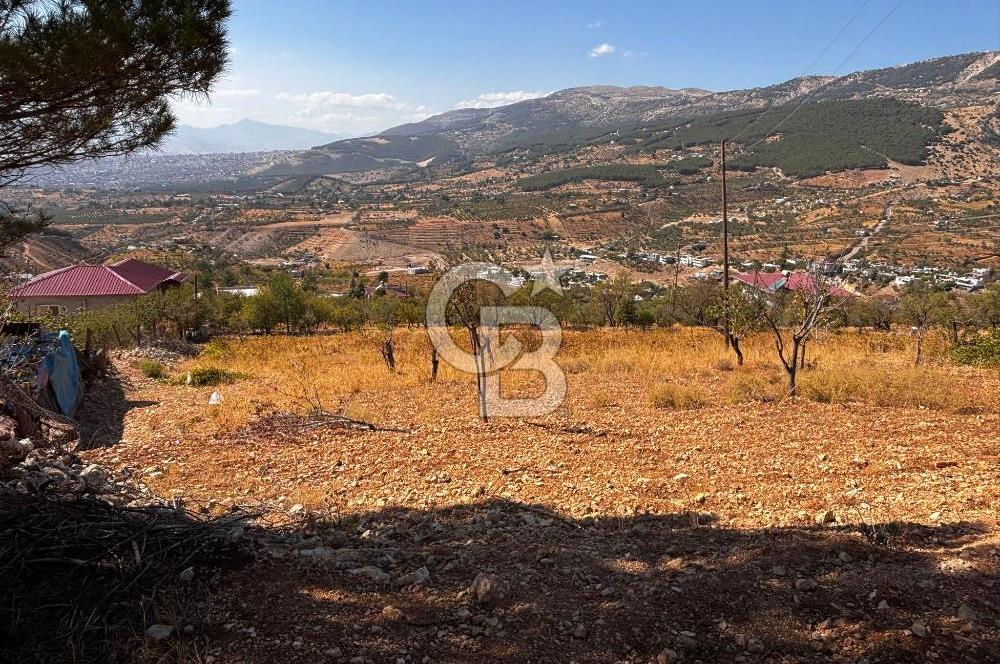 CB'DEN DERELİ'DE TEK TAPU (3.228m2) MERKEZE YAKIN SATILIK BAHÇE