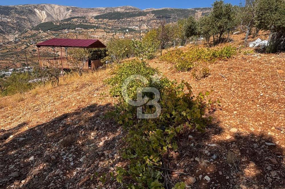 CB'DEN DERELİ'DE TEK TAPU (3.228m2) MERKEZE YAKIN SATILIK BAHÇE