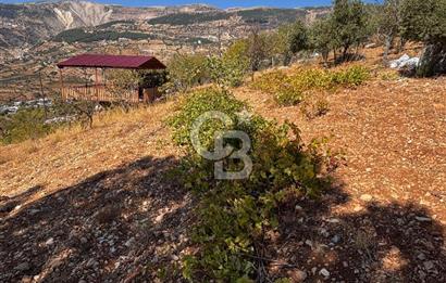 CB'DEN DERELİ'DE TEK TAPU (3.228m2) MERKEZE YAKIN SATILIK BAHÇE