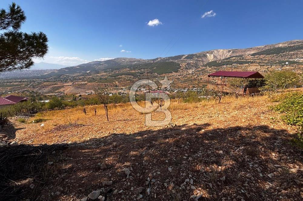 CB'DEN DERELİ'DE TEK TAPU (3.228m2) MERKEZE YAKIN SATILIK BAHÇE