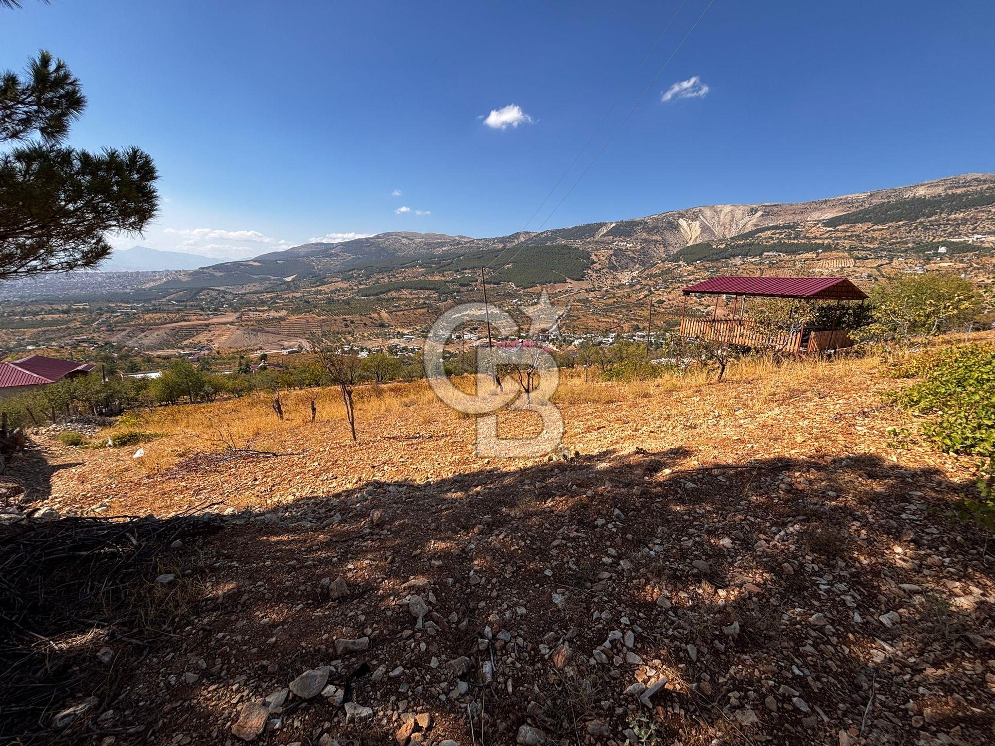 CB'DEN DERELİ'DE TEK TAPU (3.228m2) MERKEZE YAKIN SATILIK BAHÇE