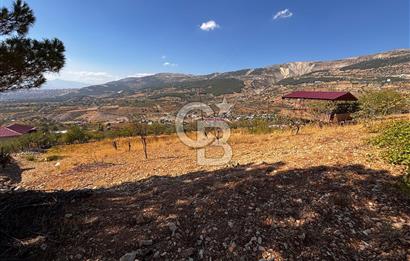 CB'DEN DERELİ'DE TEK TAPU (3.228m2) MERKEZE YAKIN SATILIK BAHÇE