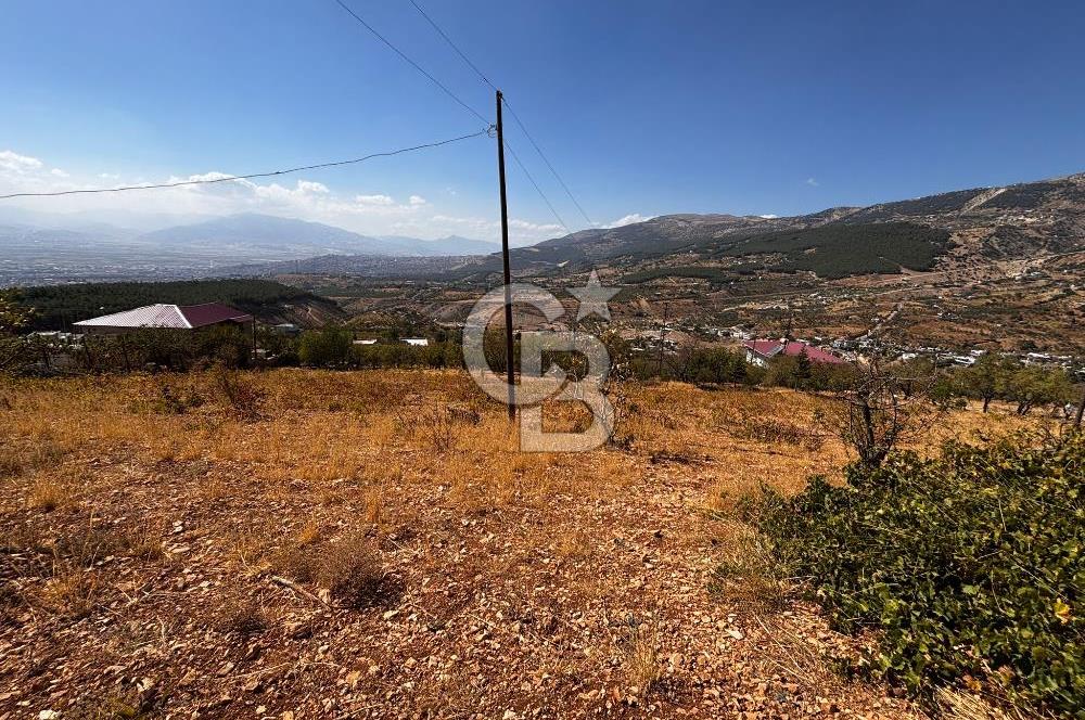 CB'DEN DERELİ'DE TEK TAPU (3.228m2) MERKEZE YAKIN SATILIK BAHÇE