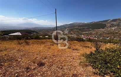 CB'DEN DERELİ'DE TEK TAPU (3.228m2) MERKEZE YAKIN SATILIK BAHÇE