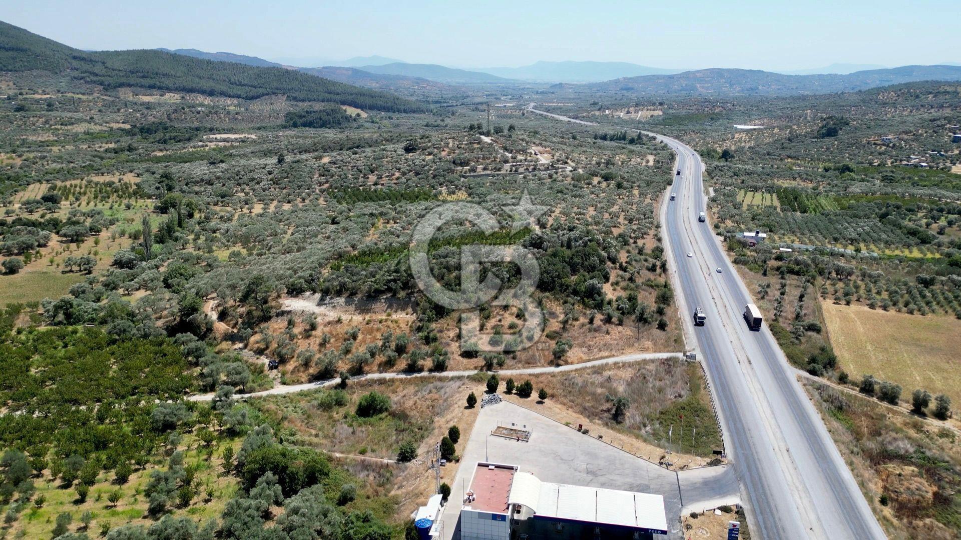 KEMALPAŞA VİŞNELİ'DE 2.483 m2 SATILIK ZEYTİNLİK