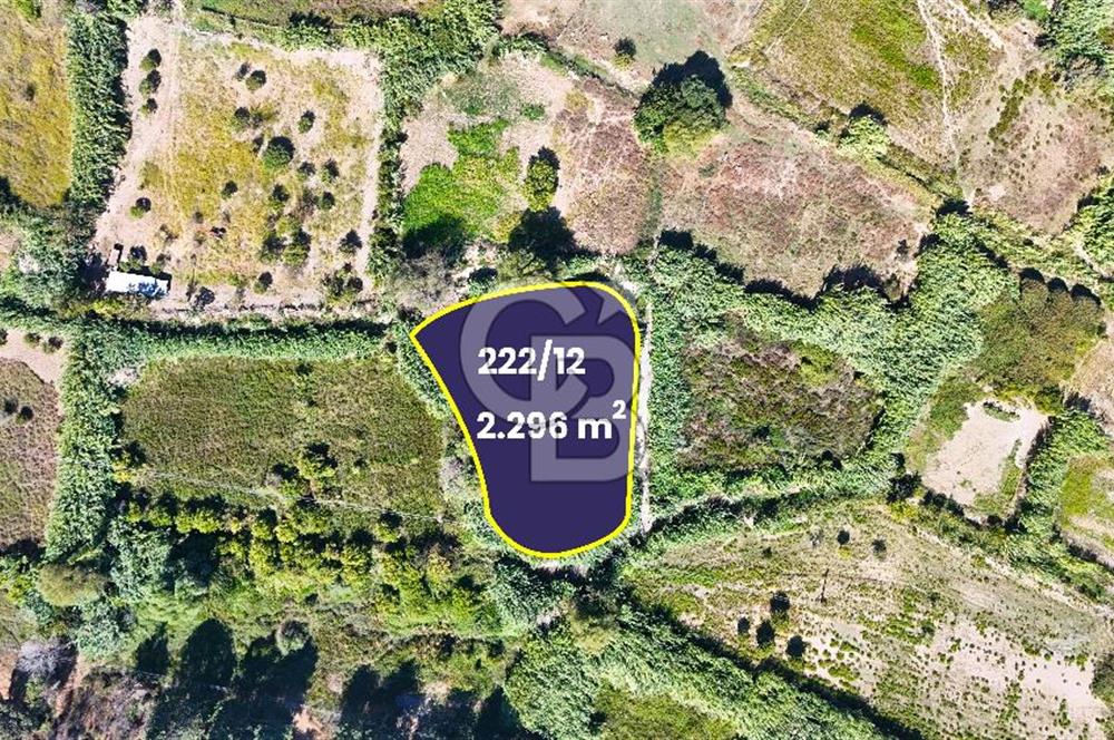 Datça Reşadiye'de 2.296m2 Yatırımlık Satılık Tarla