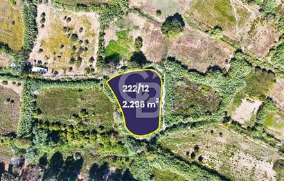 Datça Reşadiye'de 2.296m2 Yatırımlık Satılık Tarla