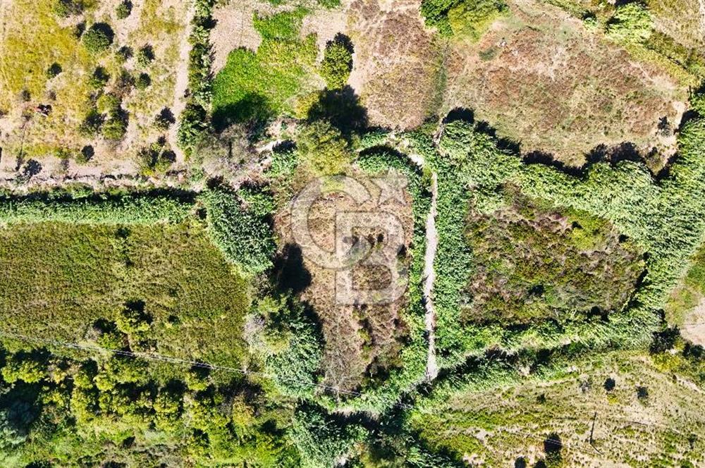 Datça Reşadiye'de 2.296m2 Yatırımlık Satılık Tarla