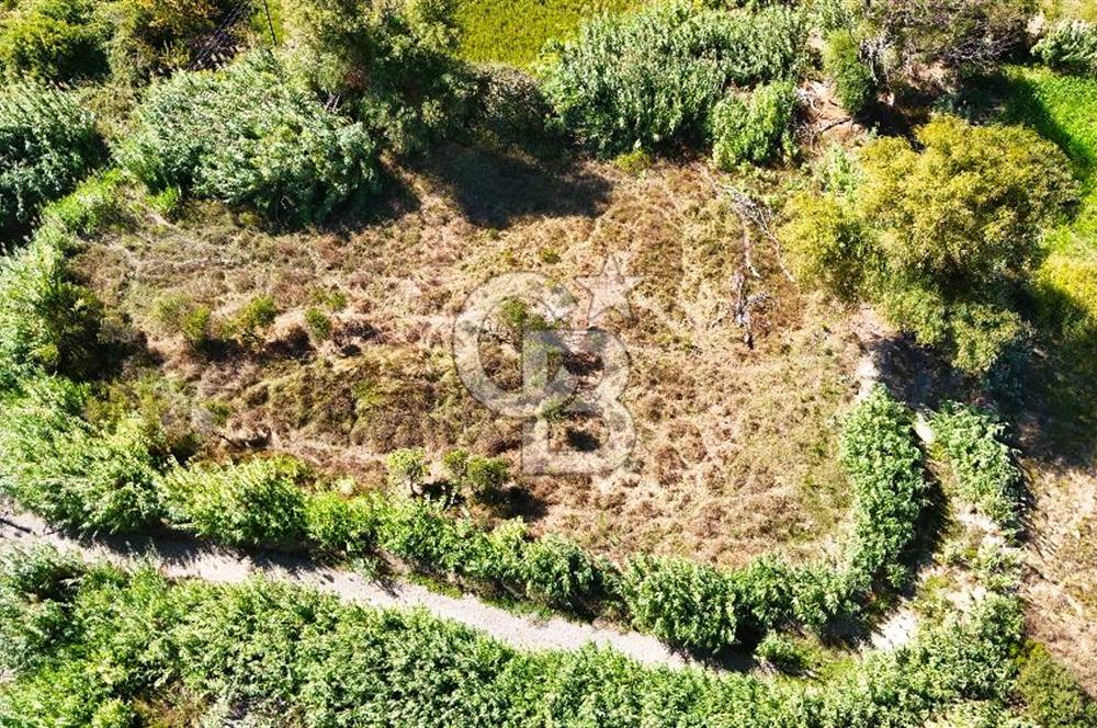 Datça Reşadiye'de 2.296m2 Yatırımlık Satılık Tarla