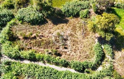 Datça Reşadiye'de 2.296m2 Yatırımlık Satılık Tarla