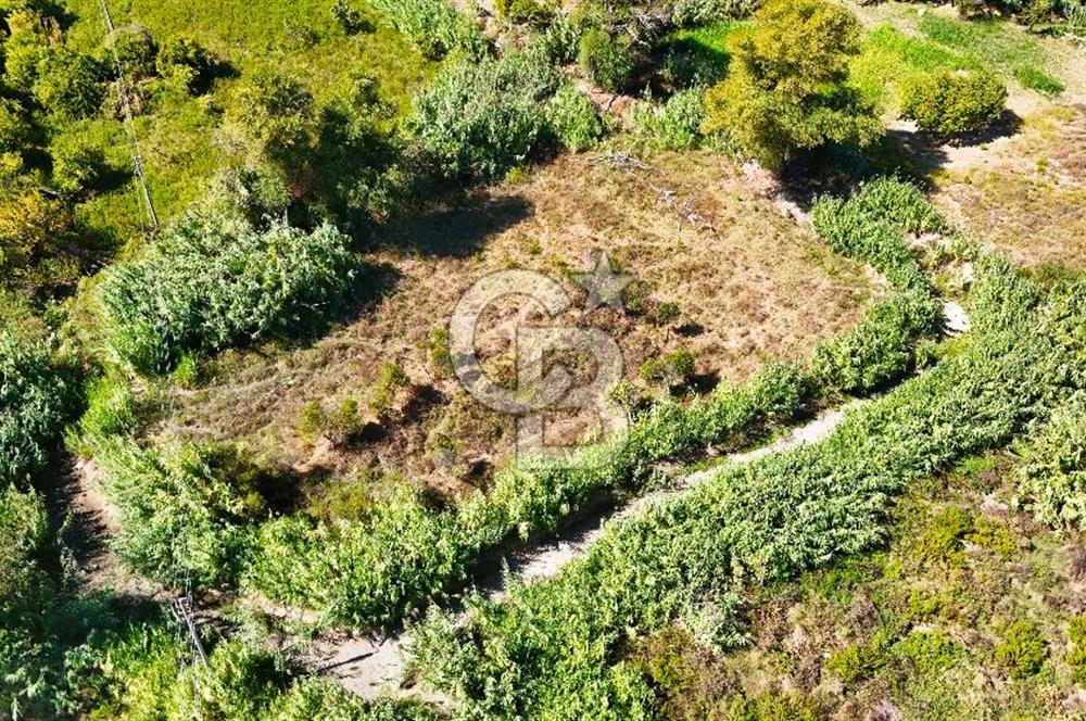 Datça Reşadiye'de 2.296m2 Yatırımlık Satılık Tarla