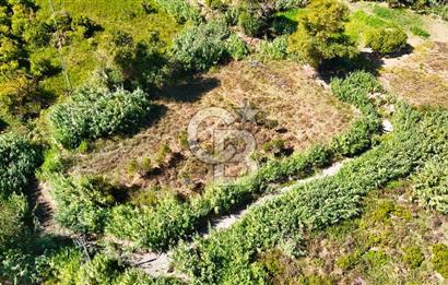 Datça Reşadiye'de 2.296m2 Yatırımlık Satılık Tarla