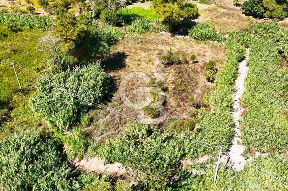 Datça Reşadiye'de 2.296m2 Yatırımlık Satılık Tarla