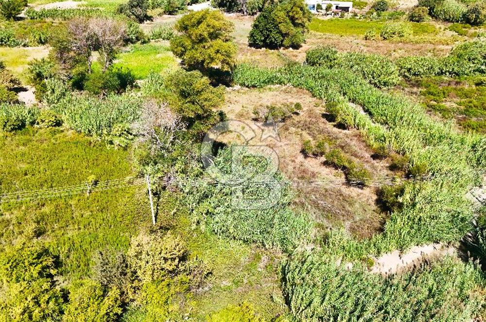 Datça Reşadiye'de 2.296m2 Yatırımlık Satılık Tarla