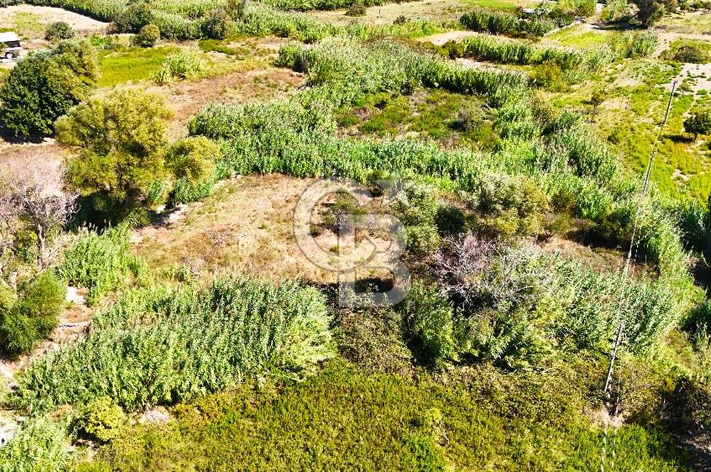 Datça Reşadiye'de 2.296m2 Yatırımlık Satılık Tarla