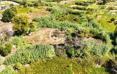 Datça Reşadiye'de 2.296m2 Yatırımlık Satılık Tarla