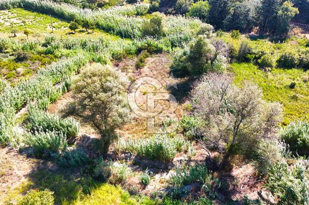 Datça Reşadiye'de 2.296m2 Yatırımlık Satılık Tarla