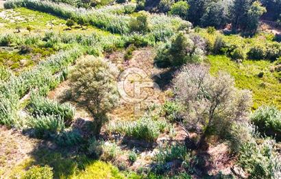 Datça Reşadiye'de 2.296m2 Yatırımlık Satılık Tarla