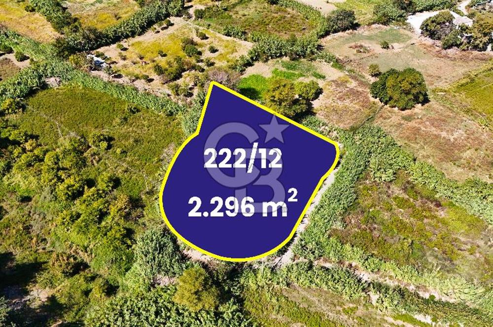 Datça Reşadiye'de 2.296m2 Yatırımlık Satılık Tarla