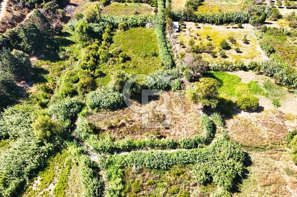 Datça Reşadiye'de 2.296m2 Yatırımlık Satılık Tarla