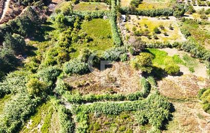 Datça Reşadiye'de 2.296m2 Yatırımlık Satılık Tarla