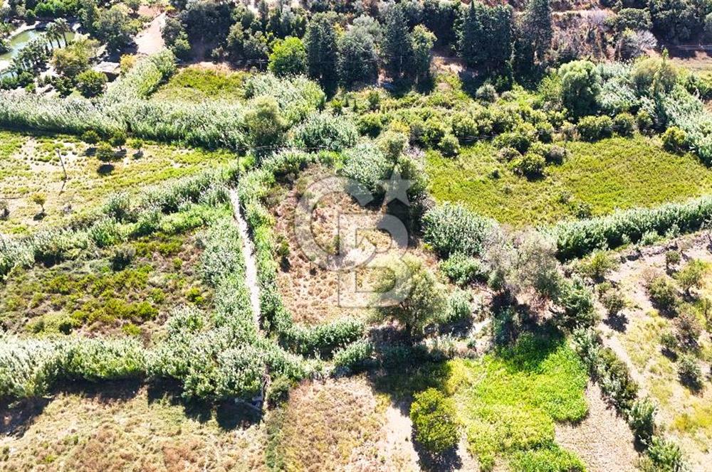 Datça Reşadiye'de 2.296m2 Yatırımlık Satılık Tarla