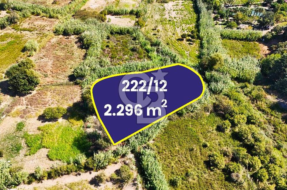 Datça Reşadiye'de 2.296m2 Yatırımlık Satılık Tarla