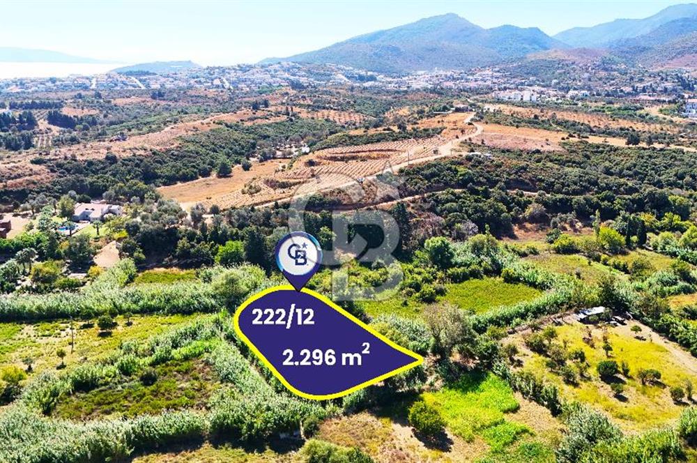 Datça Reşadiye'de 2.296m2 Yatırımlık Satılık Tarla