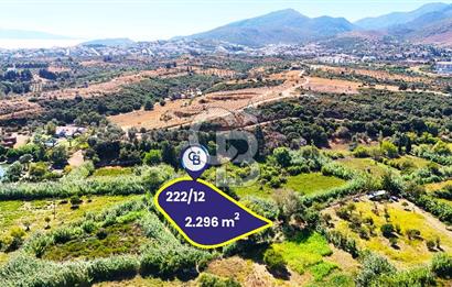 Datça Reşadiye'de 2.296m2 Yatırımlık Satılık Tarla