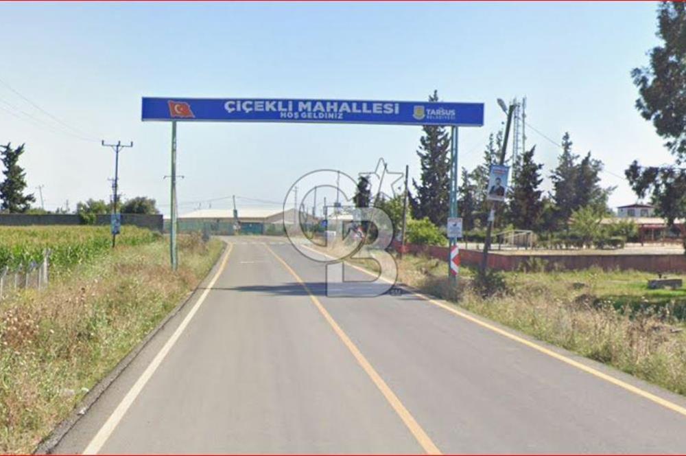 ÇUKUROVA HAVALİMANI YANINDA SATILIK  NARENCİYE BAHÇELERİ