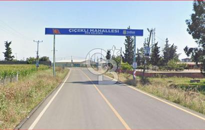 ÇUKUROVA HAVALİMANI YANINDA SATILIK  NARENCİYE BAHÇELERİ