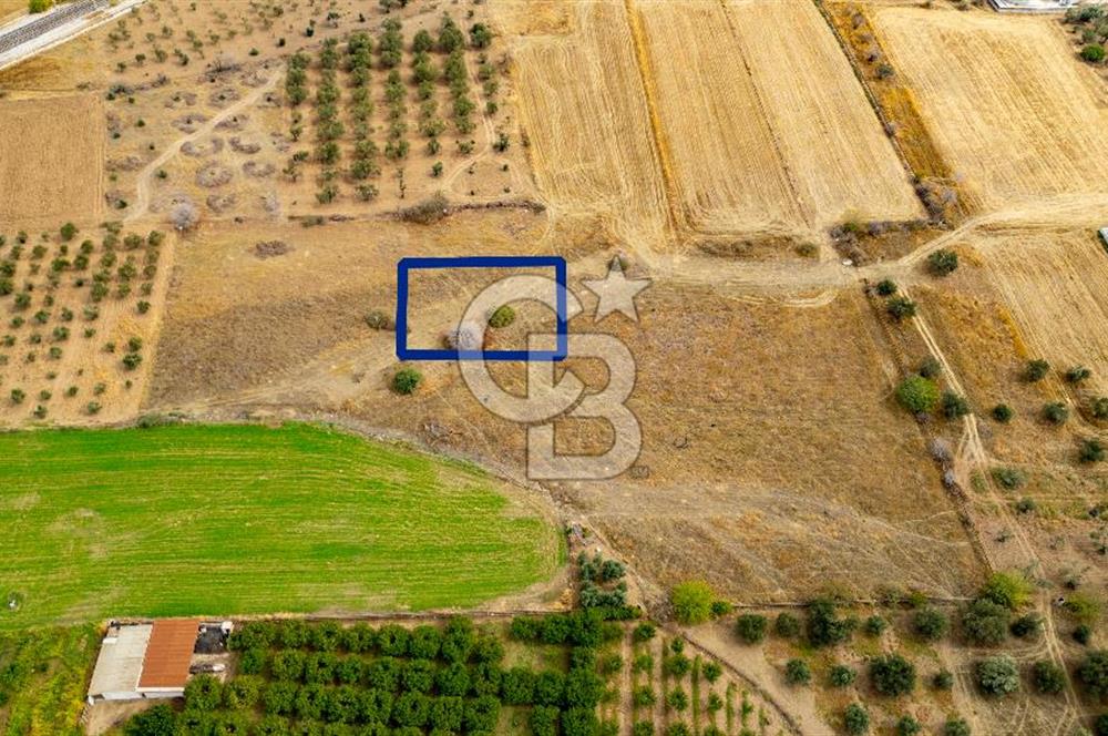 MENEMEN TÜRKELLİ NOVADA ALIŞVERİŞ MERKEZİ YAKINI SATILIK TARLA 
