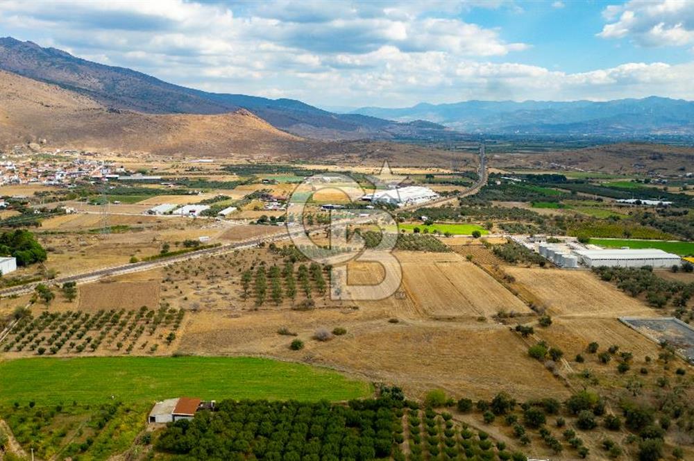 MENEMEN TÜRKELLİ NOVADA YAKINI SATILIK TARLA