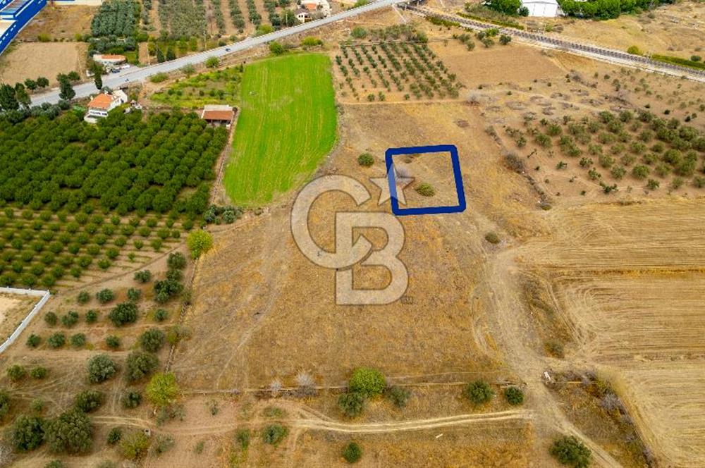 MENEMEN TÜRKELLİ NOVADA ALIŞVERİŞ MERKEZİ YAKINI SATILIK TARLA 
