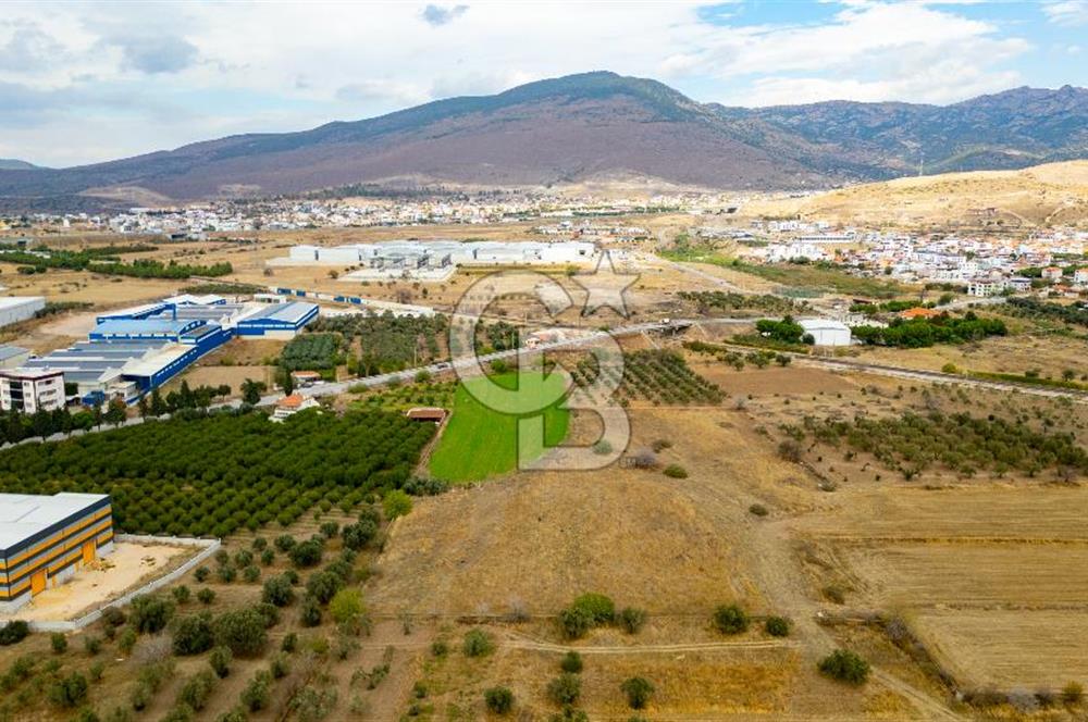 MENEMEN TÜRKELLİ NOVADA ALIŞVERİŞ MERKEZİ YAKINI SATILIK TARLA 