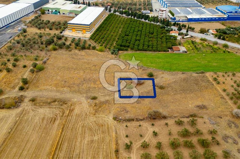 MENEMEN TÜRKELLİ NOVADA YAKINI SATILIK TARLA 