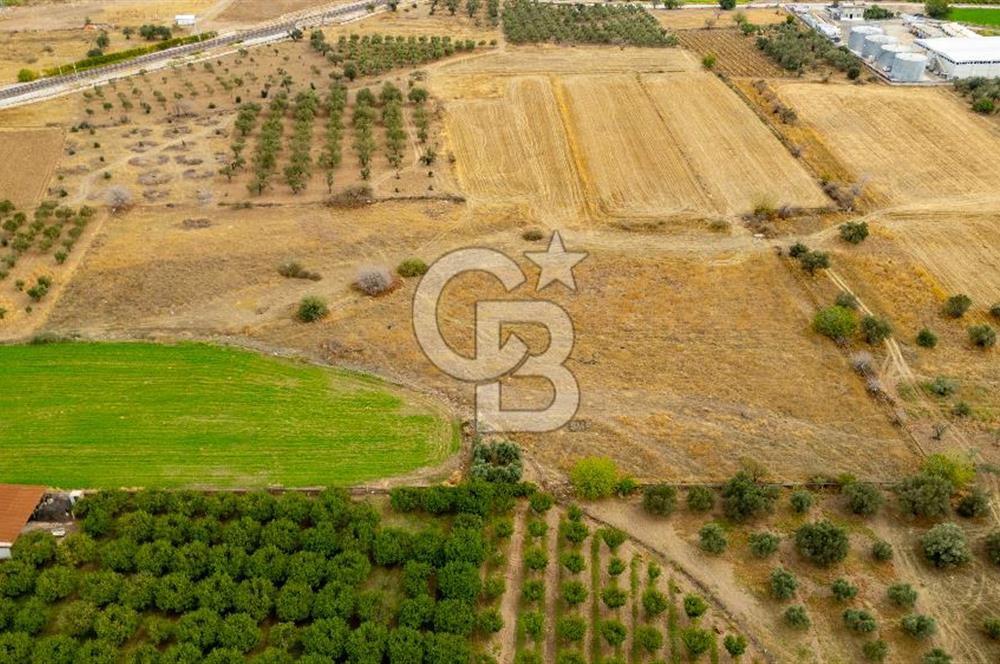 MENEMEN TÜRKELLİ NOVADA ALIŞVERİŞ MERKEZİ YAKINI SATILIK TARLA 