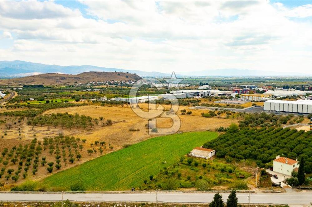 MENEMEN TÜRKELLİ NOVADA YAKINI SATILIK TARLA 