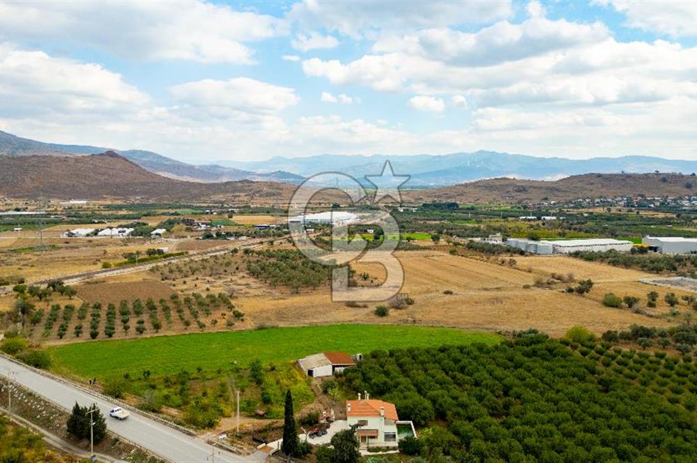 MENEMEN TÜRKELLİ NOVADA YAKINI SATILIK TARLA