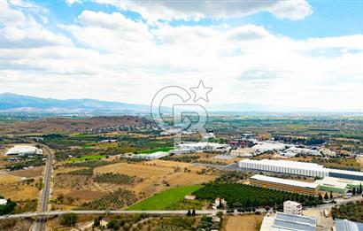 MENEMEN TÜRKELLİ NOVADA YAKINI SATILIK TARLA