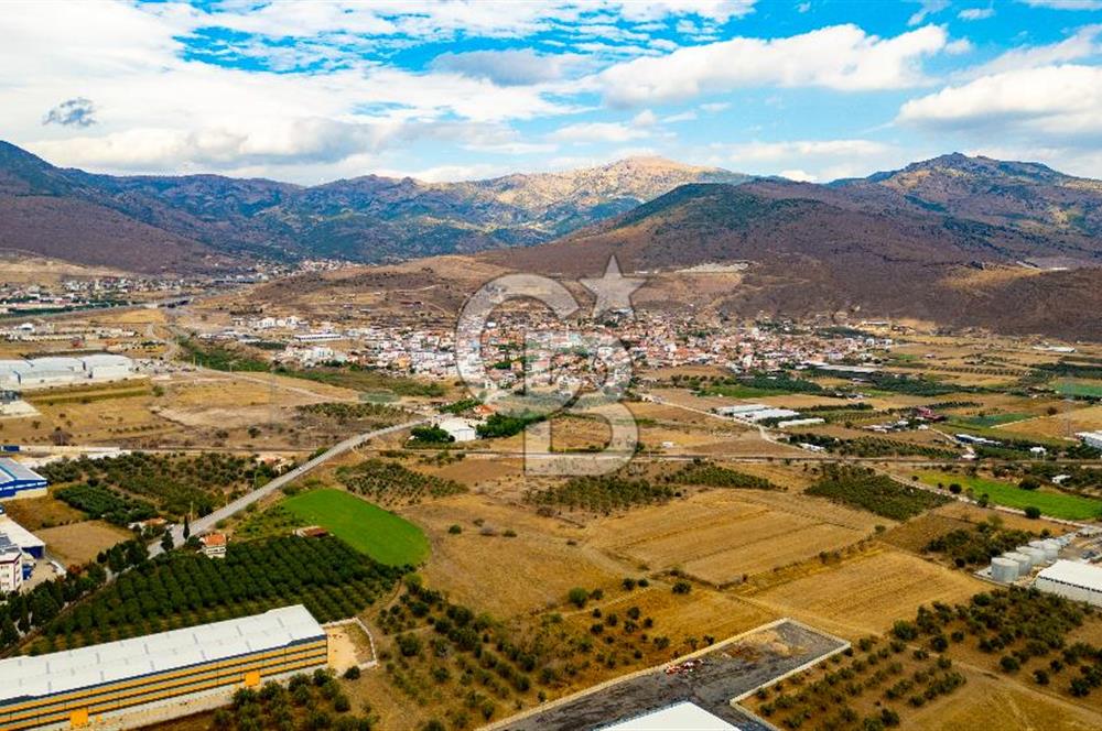 MENEMEN TÜRKELLİ NOVADA YAKINI SATILIK TARLA 