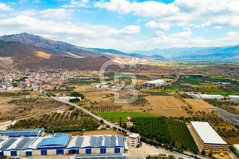 MENEMEN TÜRKELLİ NOVADA YAKINI SATILIK TARLA 