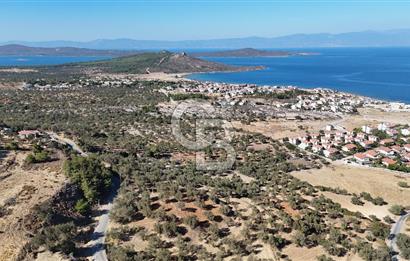 Ayvalık Cunda Adasın' da Arazi