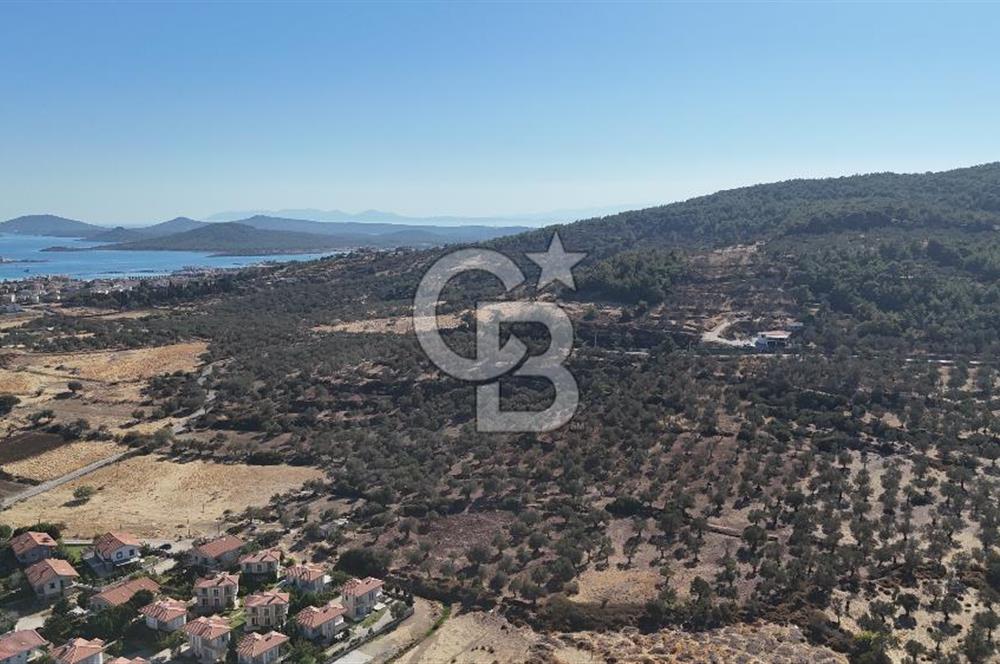 Ayvalık Cunda Adasın' da Arazi
