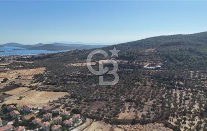 Ayvalık Cunda Adasın' da Arazi